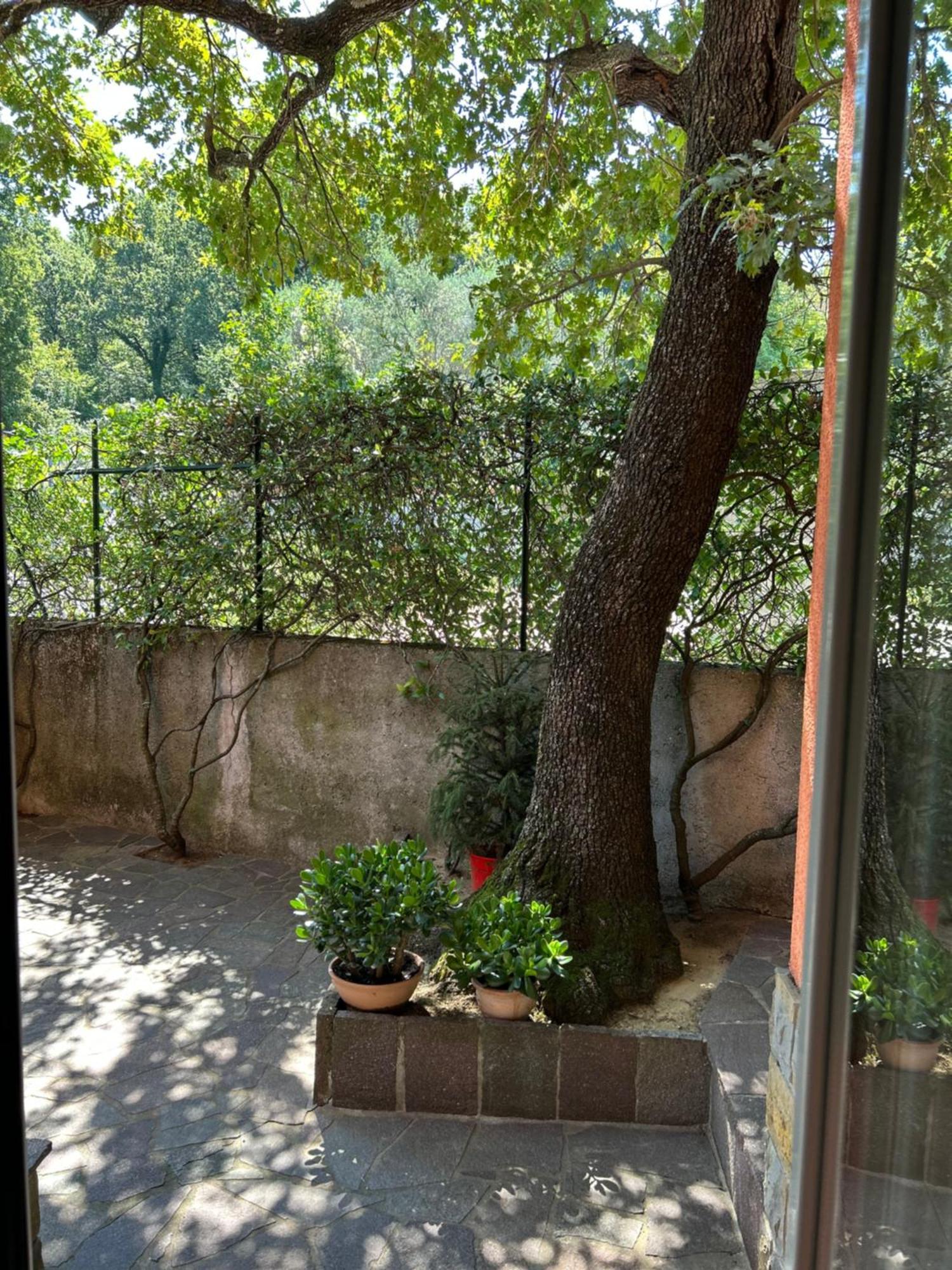 Ai 2 Olmi - Monolocali Nel Verde Muggia Exterior photo