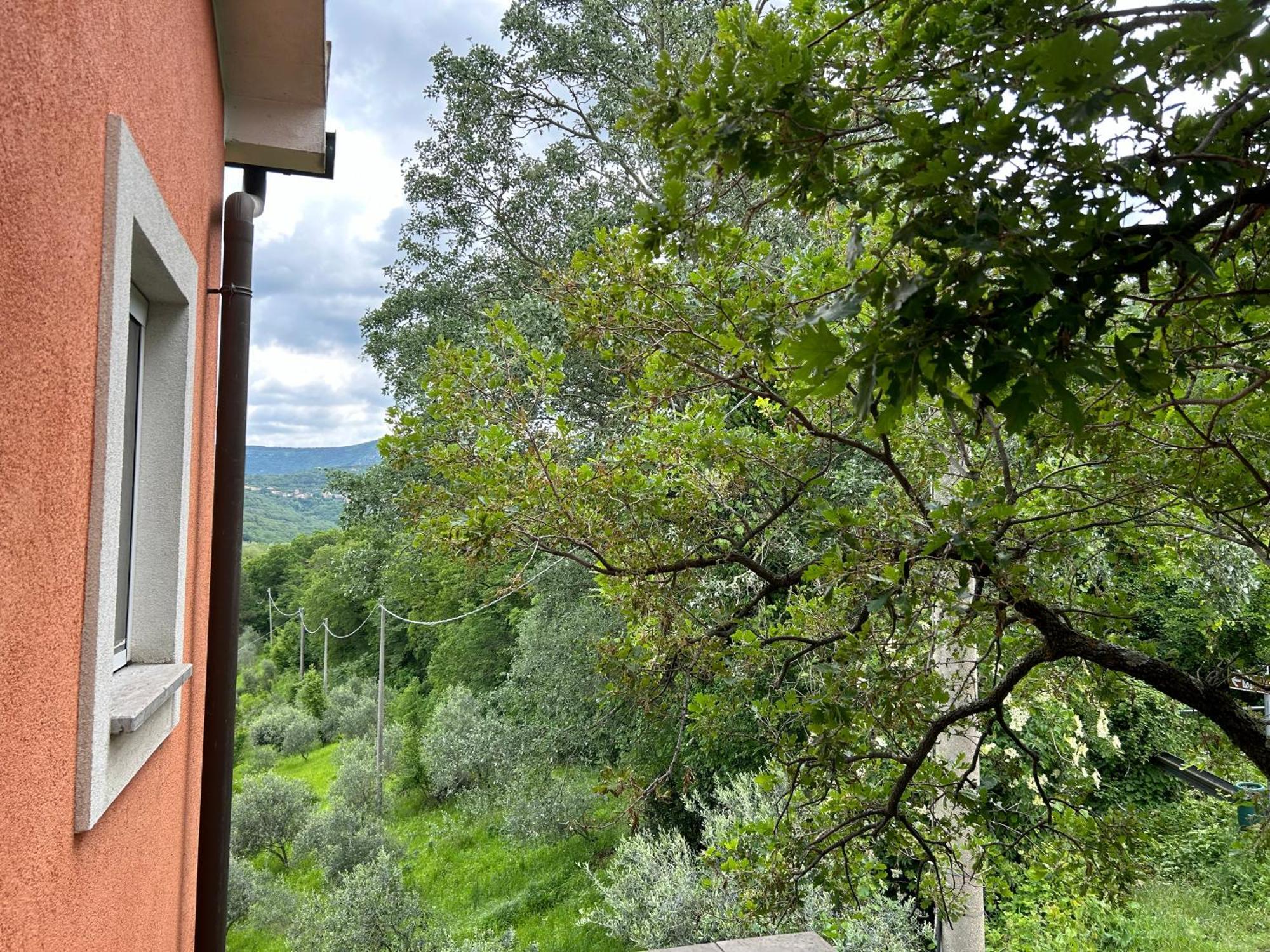 Ai 2 Olmi - Monolocali Nel Verde Muggia Exterior photo